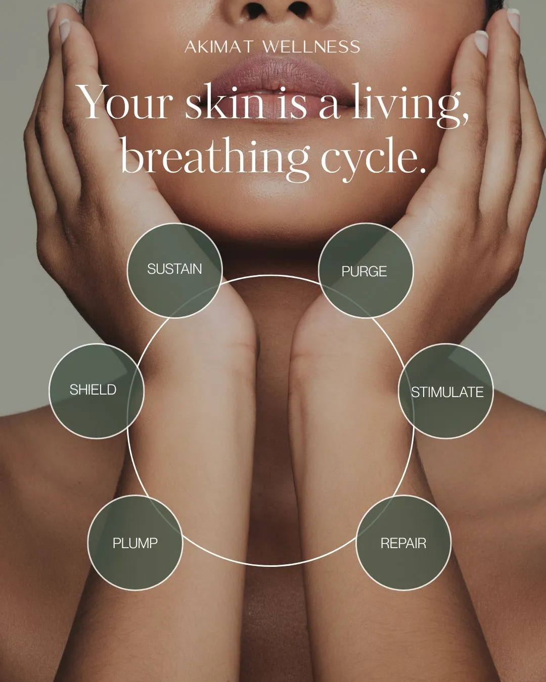 Hands framing a face with the headline Your skin is a living, breathing cycle and six skin care stages around it.