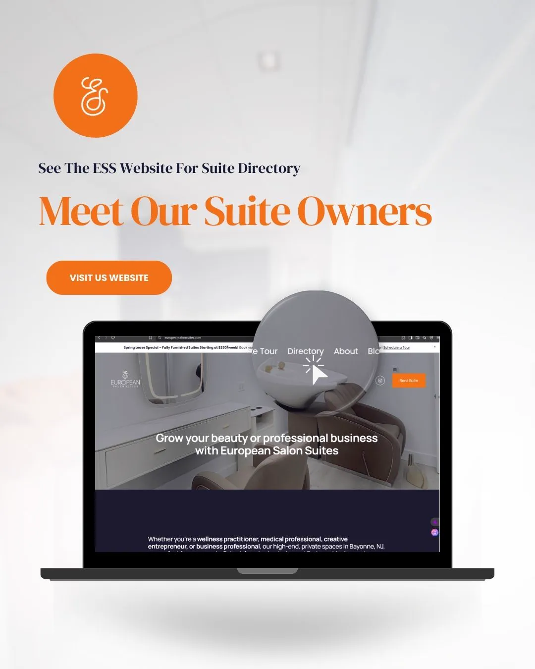 A post reading Meet Our Suite Owners with a Visit Our Website button and a laptop showing the European Salon Suites site.