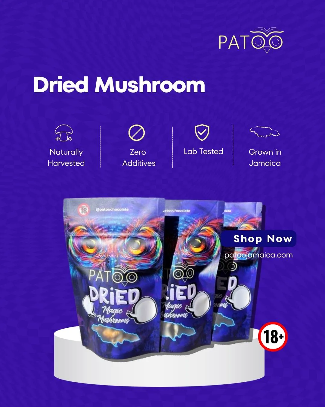 Patoo dried mushroom bags on a display stand with product benefit icons and a Shop now button.