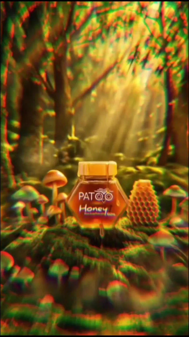 A glowing forest opens onto a jar of Patoo Honey surrounded by honeycomb and mushrooms.