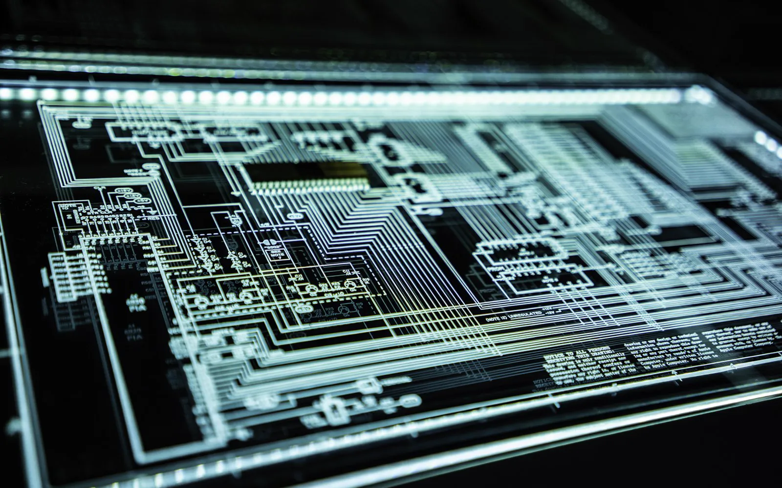 A glowing circuit board panel representing digital security